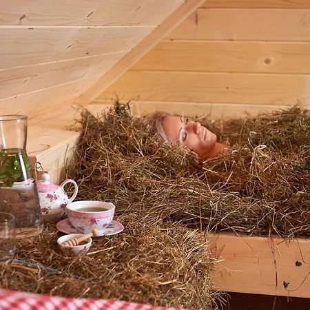 Eko Hisa-eco House Na Razpotju Otel Solčava