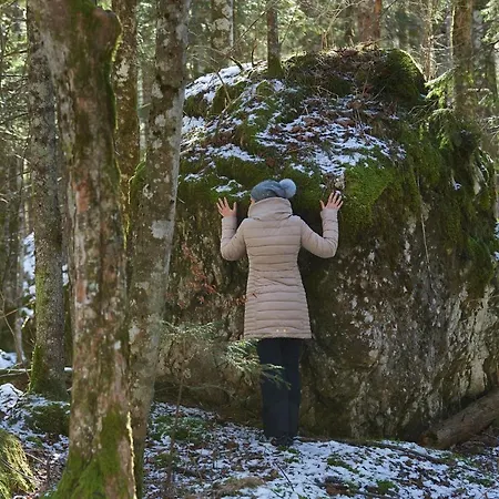 Eko Hisa-eco House Na Razpotju Hotel Solčava