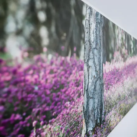 Hotel Eko Hisa-eco House Na Razpotju Solcava