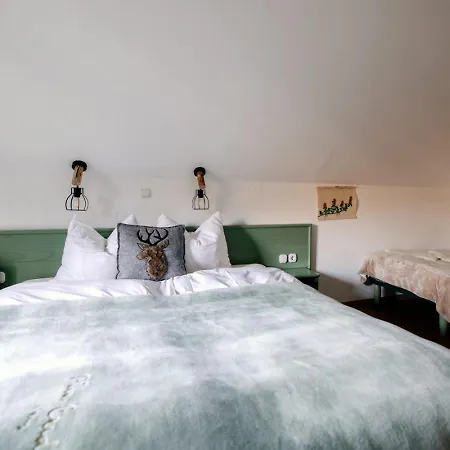 Eko Hisa-eco House Na Razpotju 3*