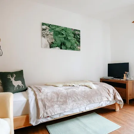 Hotell Eko Hisa-eco House Na Razpotju Solčava