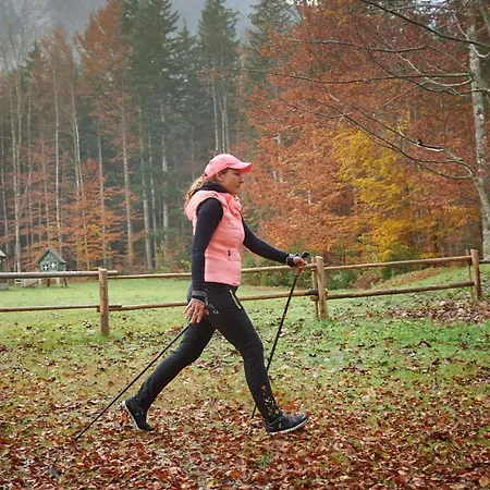 Otel Eko Hisa-eco House Na Razpotju