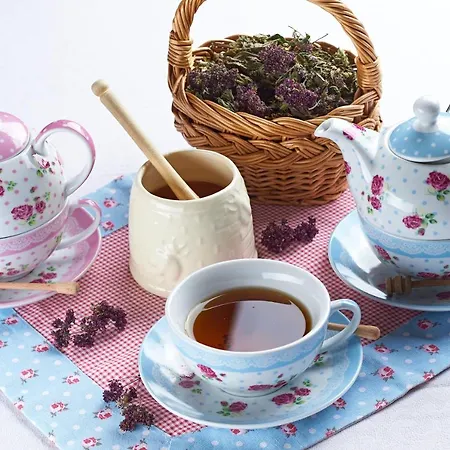 Eko Hisa-eco House Na Razpotju 3*