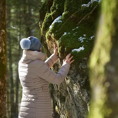 Hotel Eko Hisa-eco House Na Razpotju Solčava