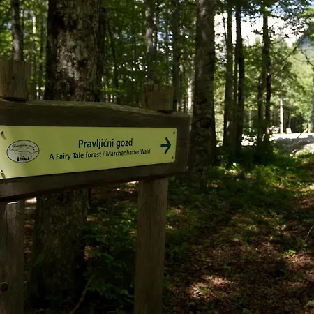 Eko Hisa-eco House Na Razpotju Solčava