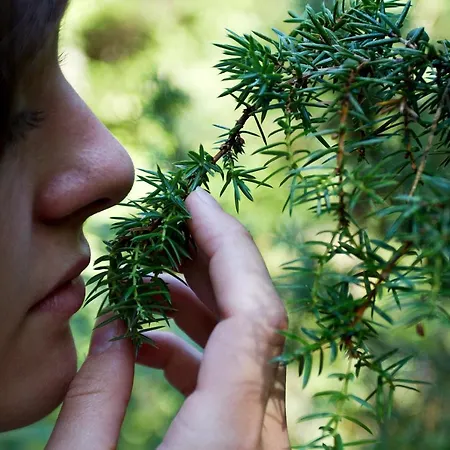 Eko Hisa-eco House Na Razpotju Otel Solčava