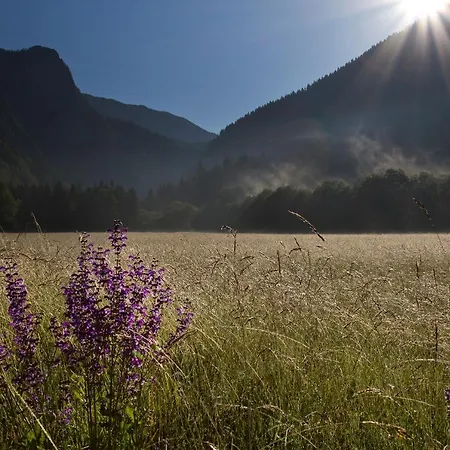 Eko Hisa-eco House Na Razpotju Otel Solčava
