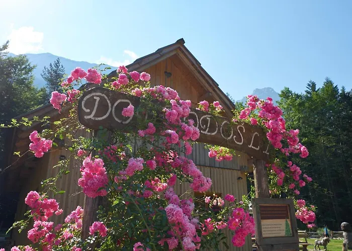 Eko Hisa-eco House Na Razpotju Hotel