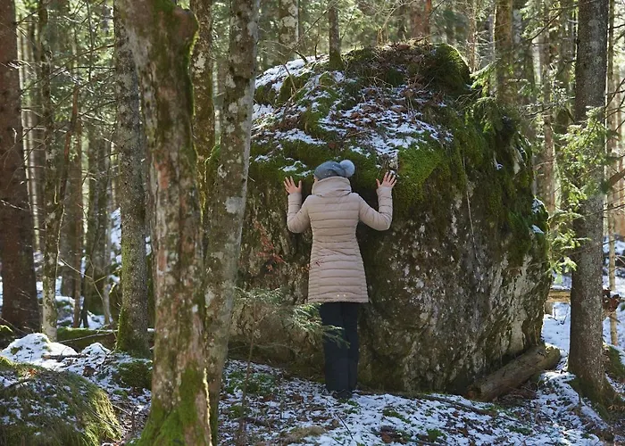 Eko Hisa-eco House Na Razpotju Hotel Solčava