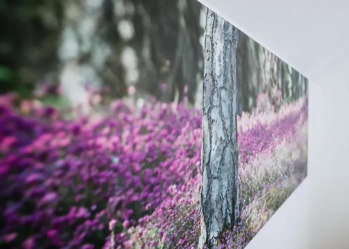 Hotel Eko Hisa-eco House Na Razpotju Solcava