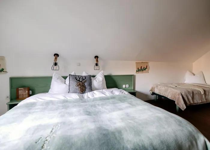 Eko Hisa-eco House Na Razpotju 3*