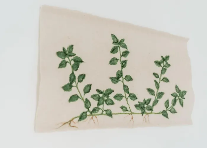 Hotel Eko Hisa-eco House Na Razpotju 3*