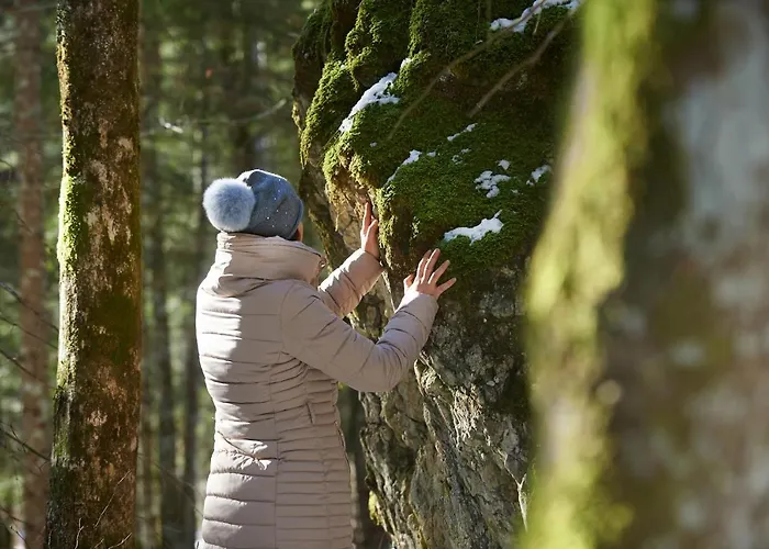 Otel Eko Hisa-eco House Na Razpotju Solčava