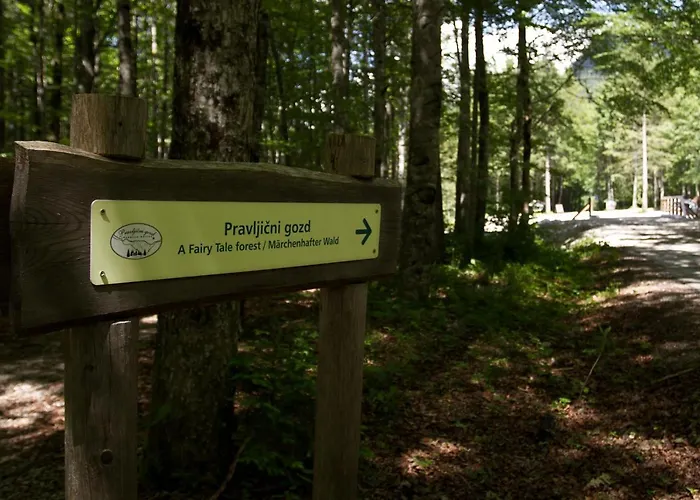 Eko Hisa-eco House Na Razpotju Solcava