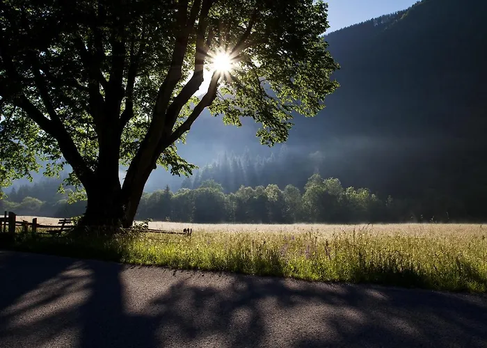 Eko Hisa-eco House Na Razpotju 3*