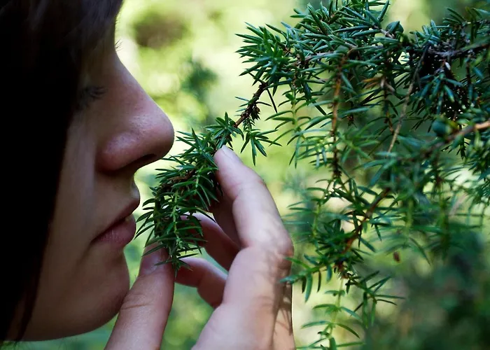 Eko Hisa-eco House Na Razpotju Hotel Solcava