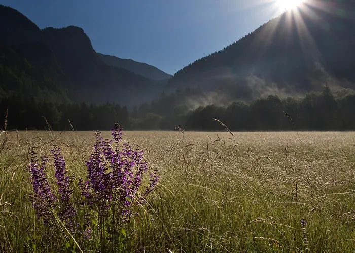 Eko Hisa-eco House Na Razpotju Hotel Solcava